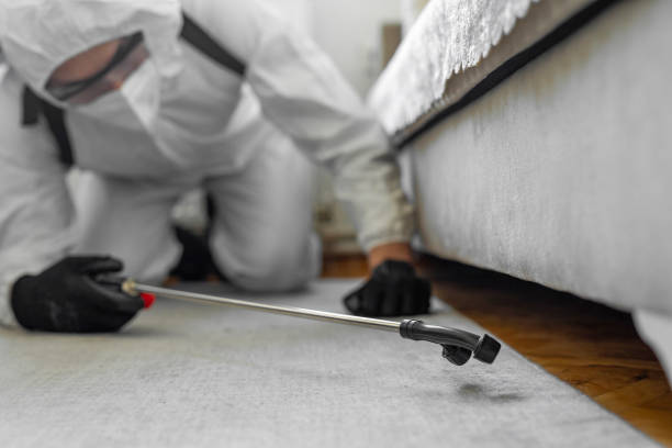 Professional Cockroach Control technician working in Chenango Bridge, NY