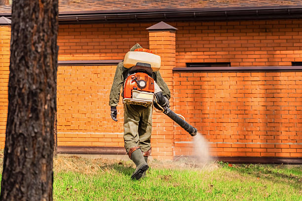 Trusted Mosquito Control service in Chenango Bridge, NY - Nex Pest Control